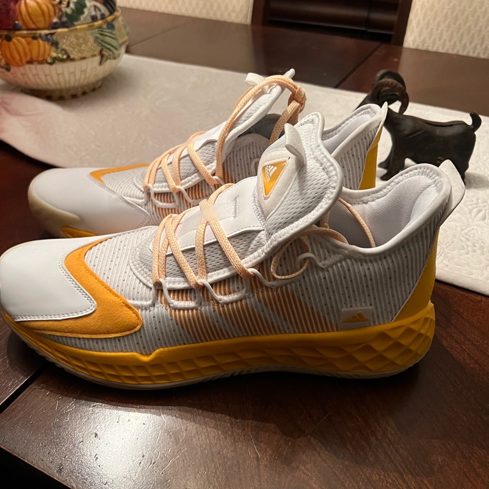 Adidas Boost - Men 13